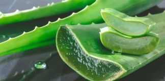 Aloe-Vera