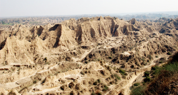 Chambal's rugged land