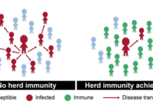 Herd Immunity Graphic