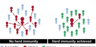 Herd Immunity Graphic