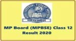 MP Board 12 results
