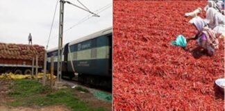 chilli to bangladesh