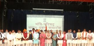 mp_cabinet_portfolio_distribution