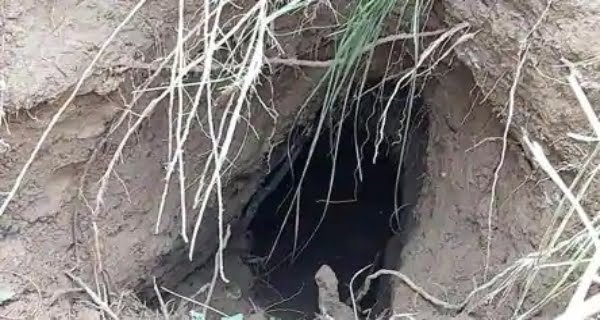 BSF traces tunnel on Indo-Pakistan border