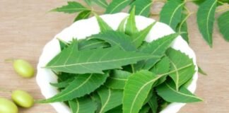 Desi Neem