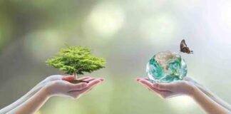 World-Biofuel-Day