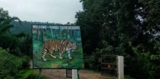 Panna Tiger Reserve