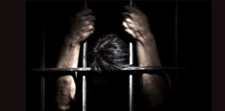 10 years imprisonment for murder of wife