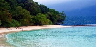 8 Indian beaches recommended for 'Blue Flag' certification