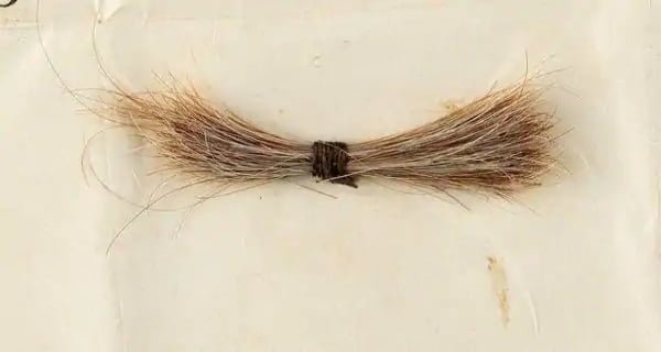 Abraham Lincoln's hair