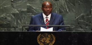 Digital 75th session of UN begins