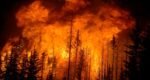 forest fire in America
