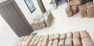 1733 kg hemp seized