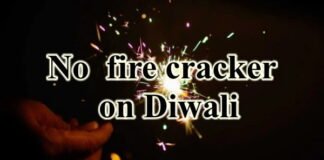 Crakers on Diwali1