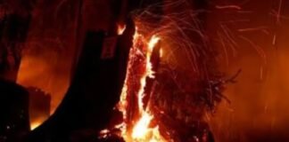 north china fire