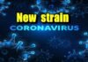 new corona strain