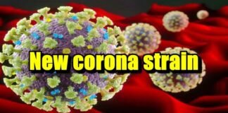 new corona strain