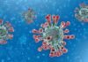 new strain of coronavirus