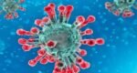 new-strain-of-coronavirus1