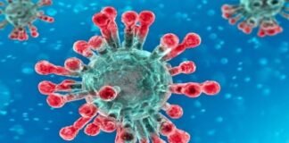 new-strain-of-coronavirus1