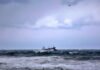 Cargo ship sunk in the Black Sea