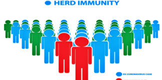 herd-immunity