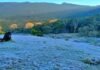 munnar