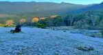 munnar