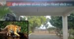 sanjay tiger reserve