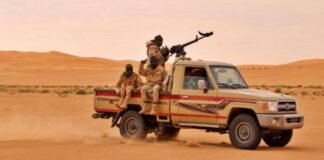 Gunmen's bloody game in Niger