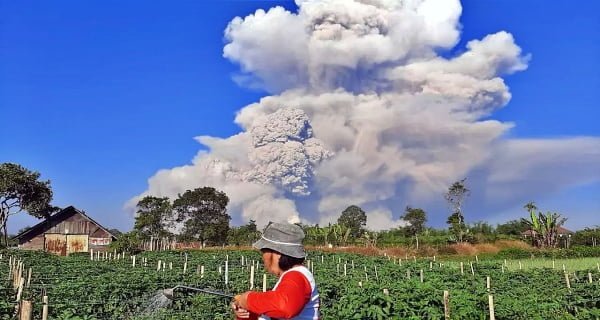 Volcani-Indonesia