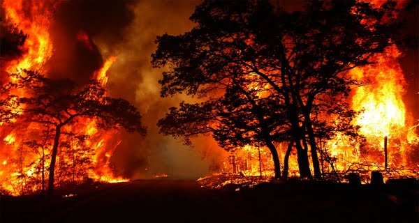 Uttarakhand-forest-fire