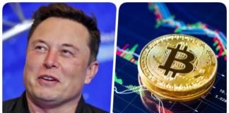 elon-musk-bitcoin
