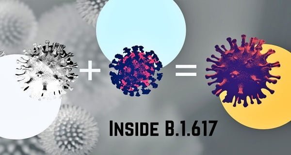 B.1.617 Coronavirus