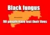 Black fungus-mumbai