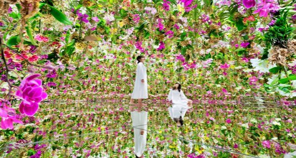 TeamLab Planets in Tokyo Unveils Two New Immersive Living Garden ...