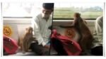 Monkey came in Delhi Metro