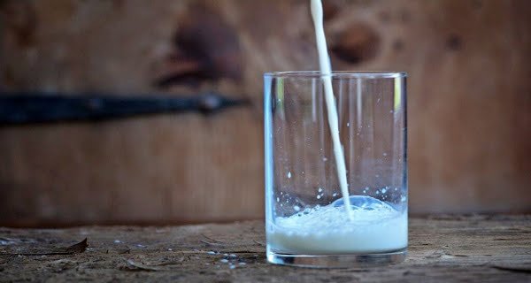 bio milk bio milk