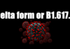 delta form or B1.617.2