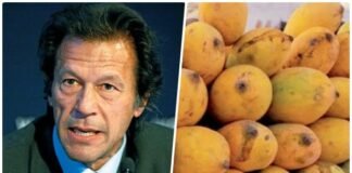 pakistan-mango