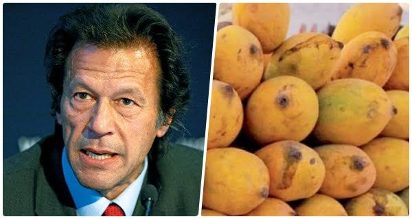 pakistan-mango