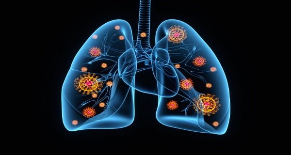 Lungs destroyed by coronavirus attack