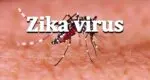 Zika virus