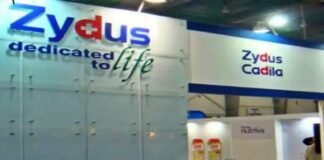 Zydus cadila