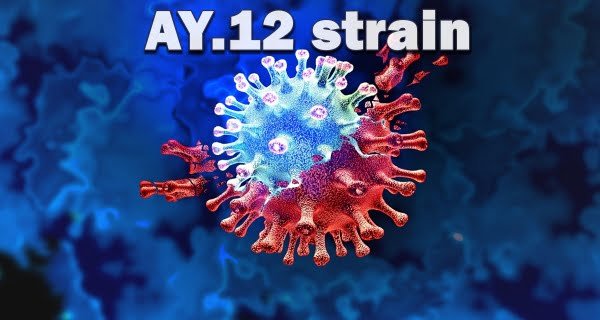 AY.12 strain