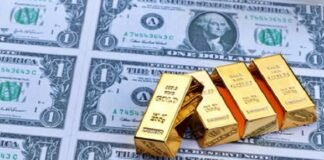 foreign-exchange-reserve