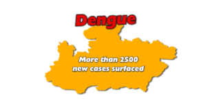 MP Dengue