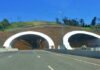 Mohania Tunnel