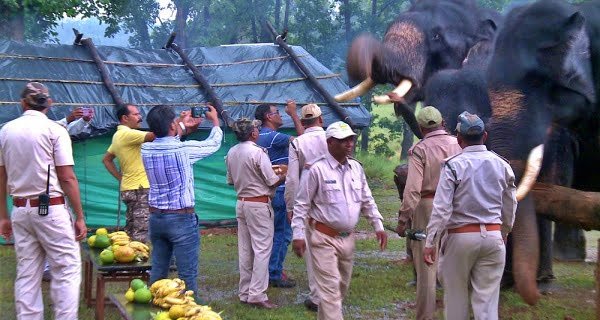 Elephant Rejuvenation Camp 