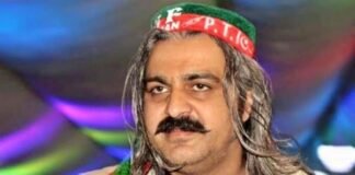 Ali Amin Gandapur